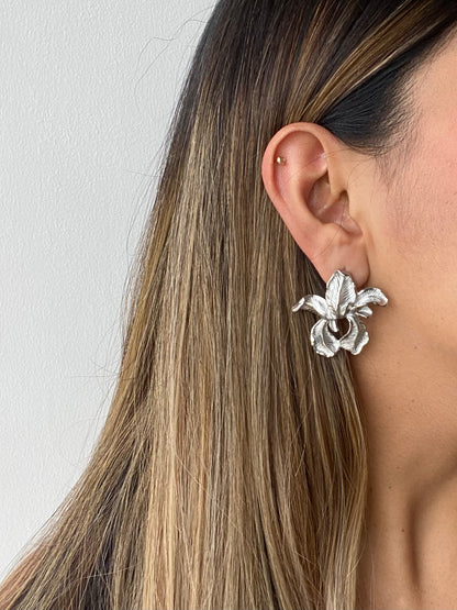 Aretes Pinot Plateado